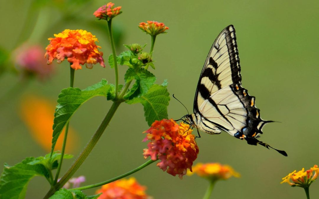 Small Habits That Build Big Change